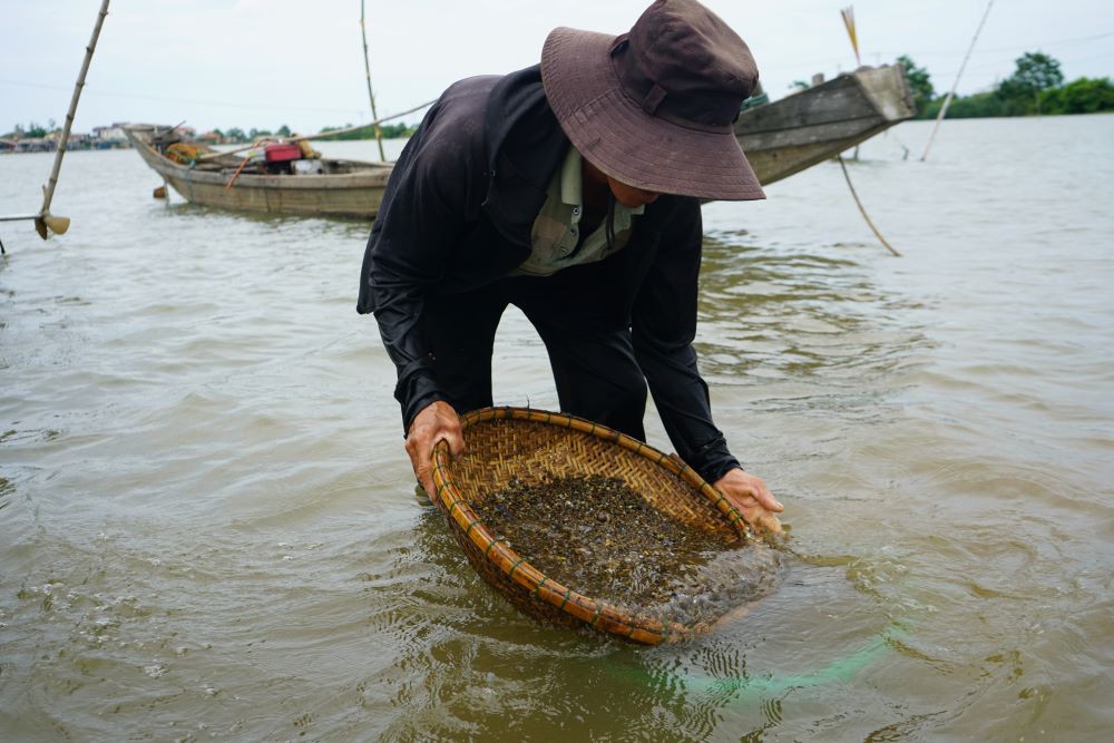 Đ&atilde;i chắt chắt b&ecirc;n bờ s&ocirc;ng Thạch H&atilde;n - Ảnh: N.T